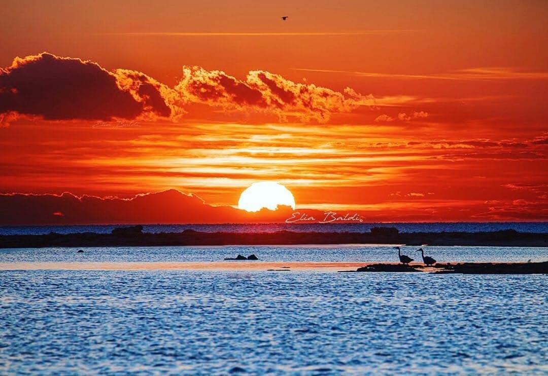 B&B La Strea Porto Cesareo Bagian luar foto