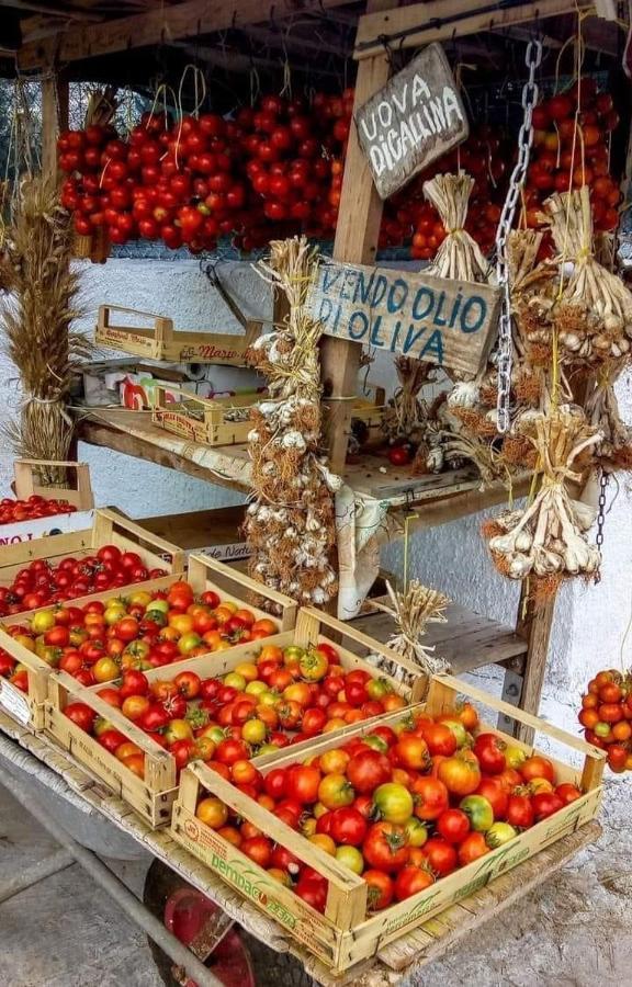B&B La Strea Porto Cesareo Bagian luar foto