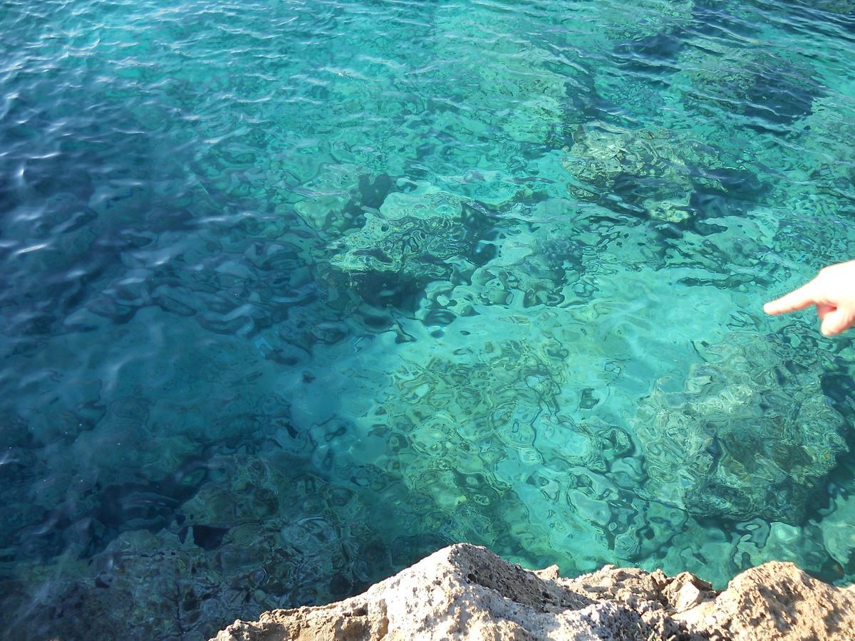 B&B La Strea Porto Cesareo Bagian luar foto